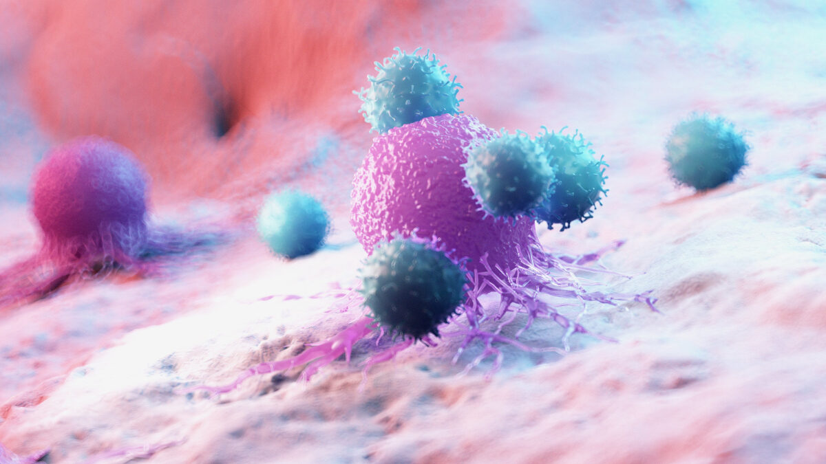 Model leukocyty atakujące komórki rakowe