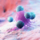 Model leukocyty atakujące komórki rakowe